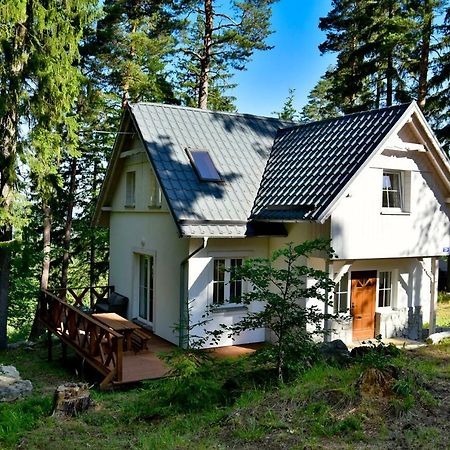 Gorski Domek Kolo Karpacza- Apartamentuj エクステリア 写真