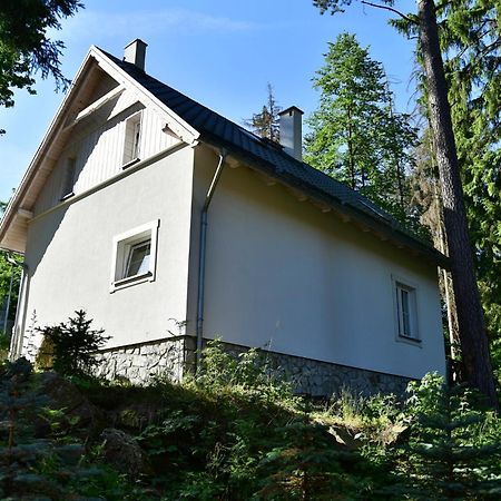 Gorski Domek Kolo Karpacza- Apartamentuj エクステリア 写真