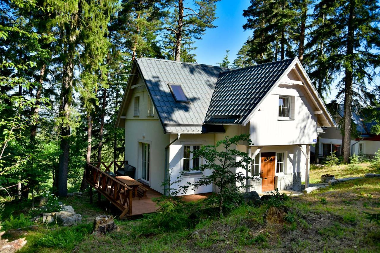 Gorski Domek Kolo Karpacza- Apartamentuj エクステリア 写真