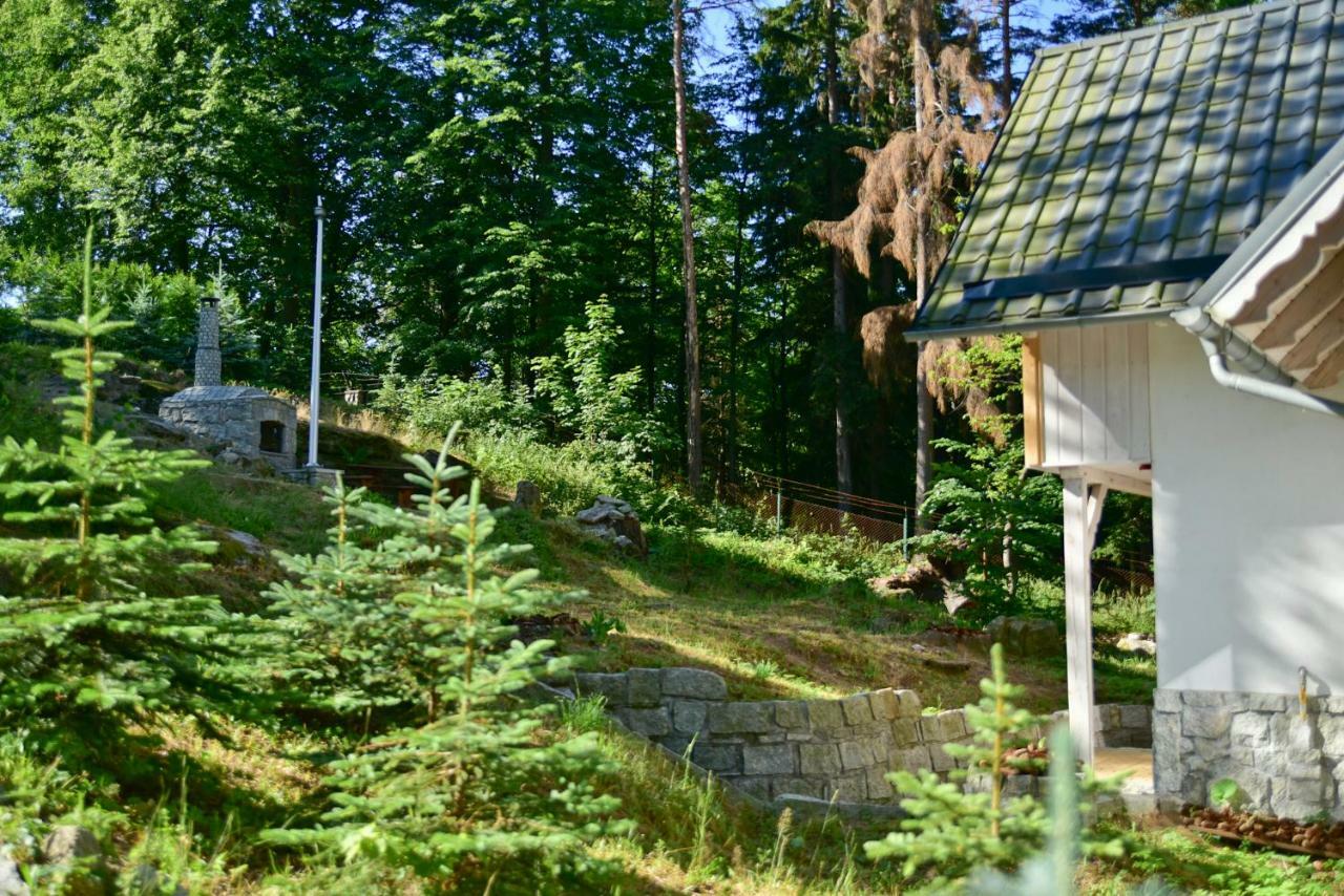 Gorski Domek Kolo Karpacza- Apartamentuj エクステリア 写真