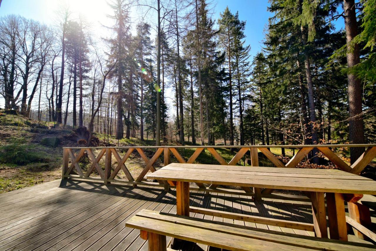 Gorski Domek Kolo Karpacza- Apartamentuj エクステリア 写真
